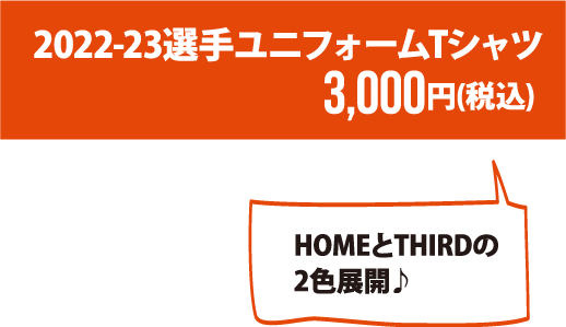 選手ユニフォームTシャツ