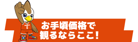 お手頃価格で観るならここ