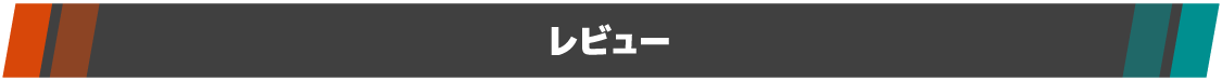レビュー