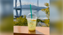 レモン谷テラス