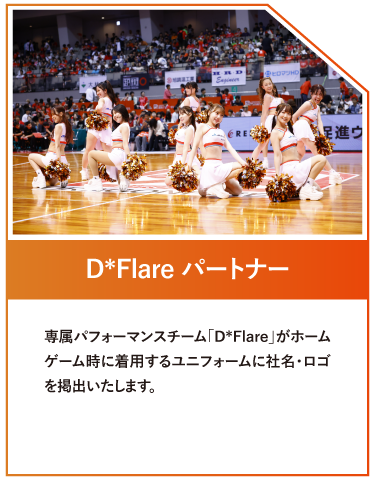 D*Flareパートナー