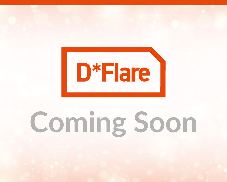 広島ドラゴンフライズ専属パフォーマンスチームD*Flare