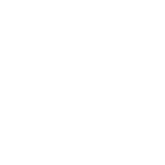 ニュース