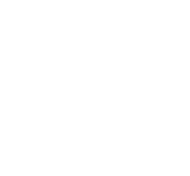 広島ドラゴンフライズ後援会入会ガイド