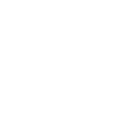 鳩